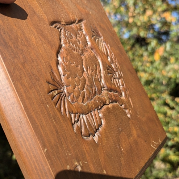 🍁 Vintage Owl Wooden Goblincore Cottage core Wall Plaque 🍁 - Picture 10 of 11